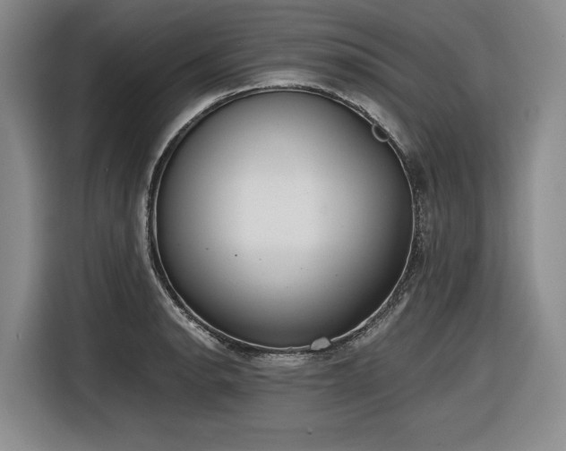 X0000116861134200912221133