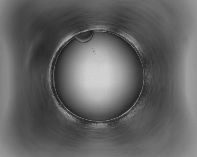 X0000116861135200912221133