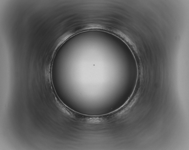 X0000116861137200912221133