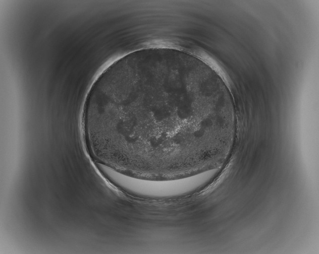 X0000116861141200912221133