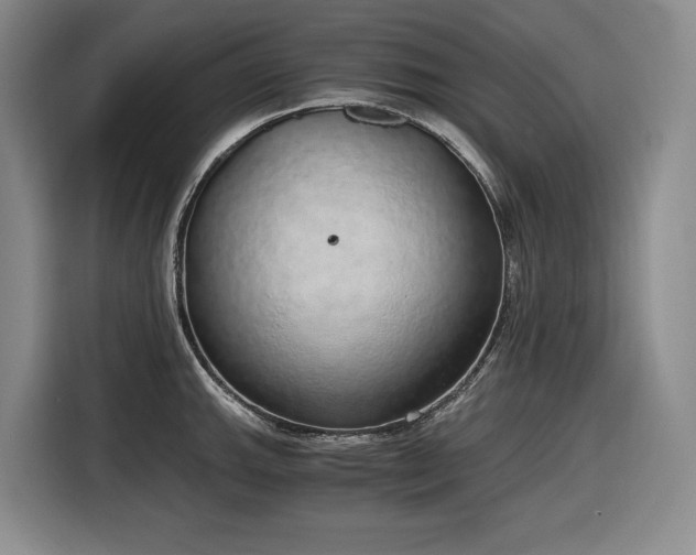 X0000116861143200912221133