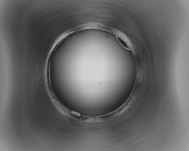 X0000116861146200912221133