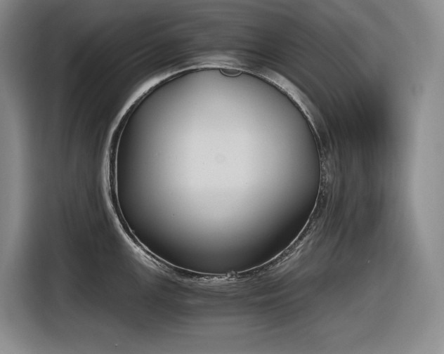 X0000116861147200912221133