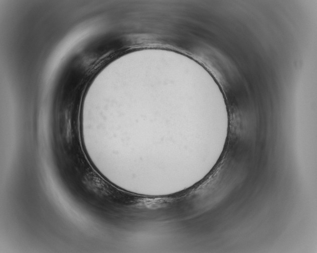 X0000116861150200912221133