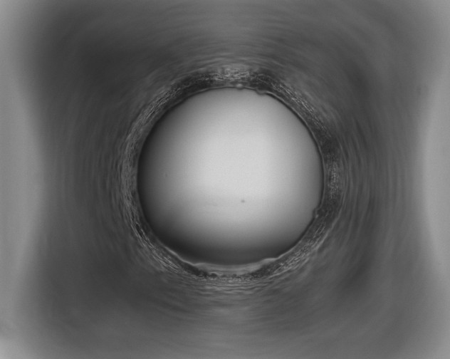 X0000116861153200912221133