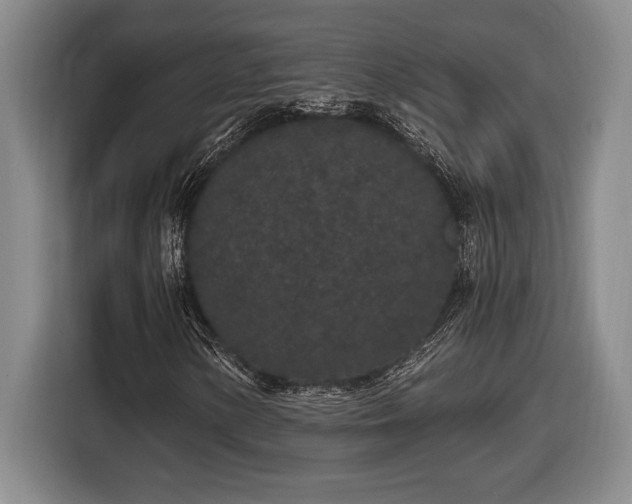 X0000116861154200912221133