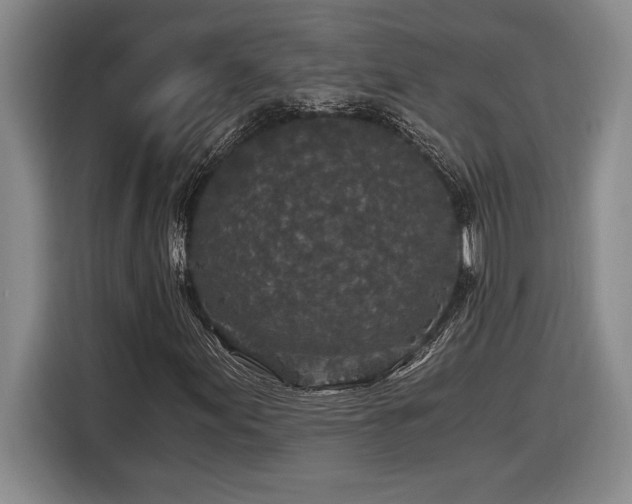 X0000116861155200912221133