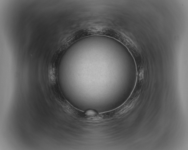 X0000116861156200912221133