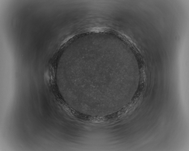 X0000116861158200912221133
