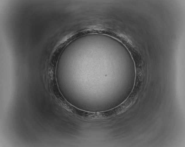 X0000116861159200912221133