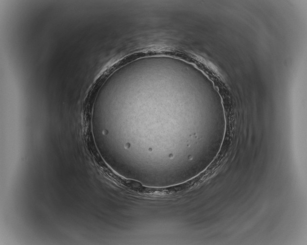 X0000116861160200912221133