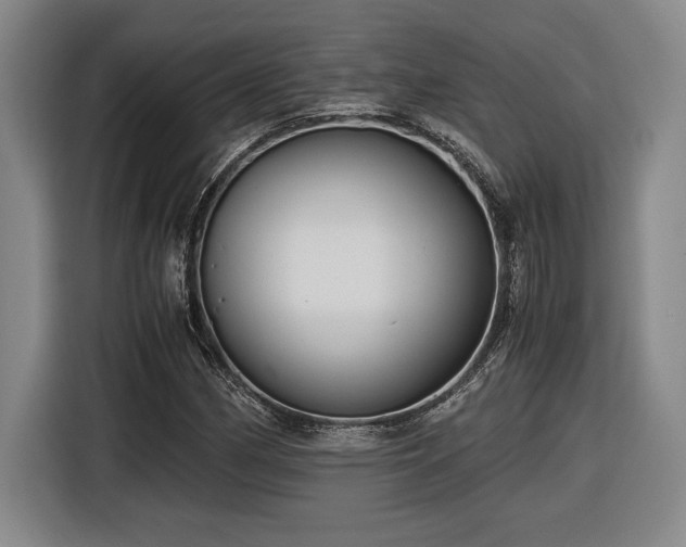 X0000116861162200912221133