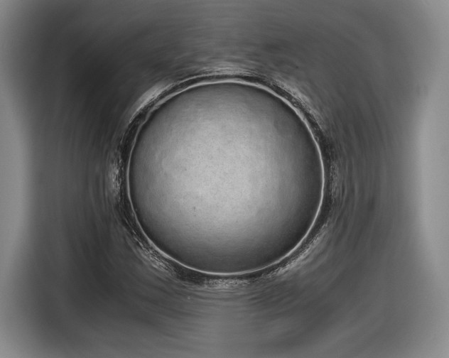 X0000116861163200912221133