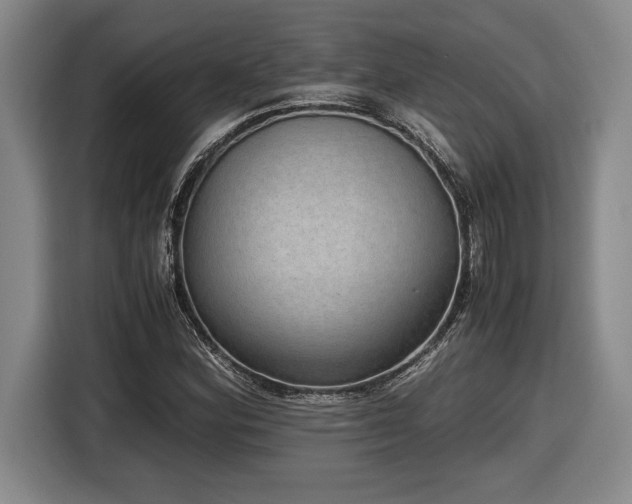 X0000116861164200912221133