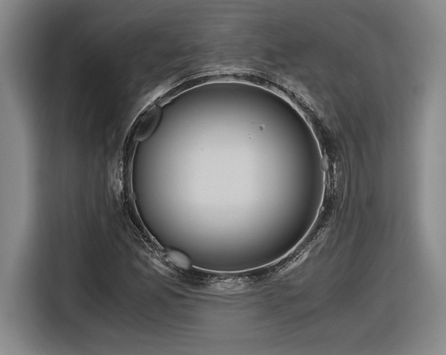 X0000116861165200912221133