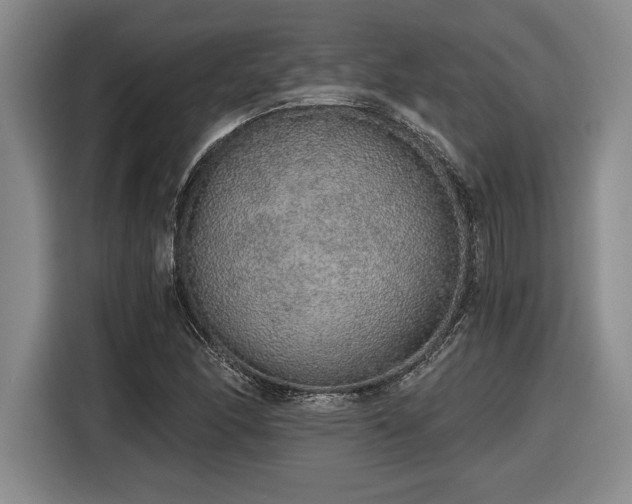 X0000116861166200912221133