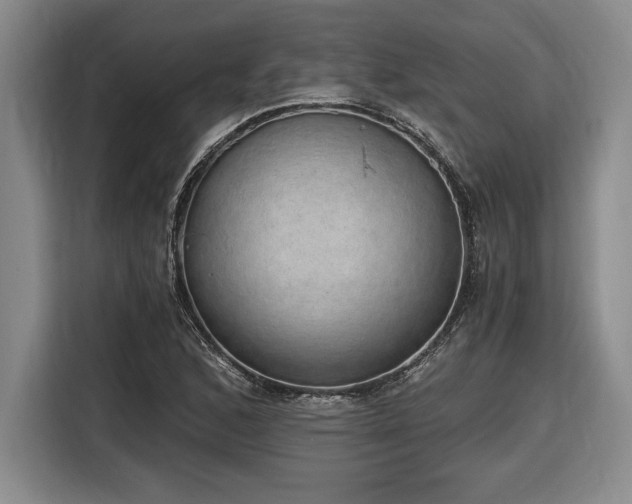 X0000116861168200912221133