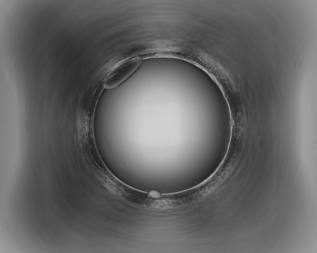 X0000116861169200912221133
