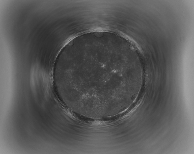 X0000116861170200912221133
