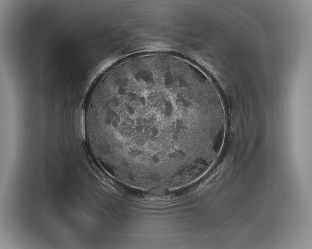 X0000116861171200912221133