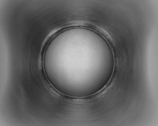 X0000116861172200912221133