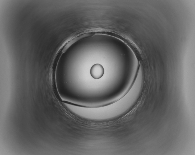 X0000116861173200912221133