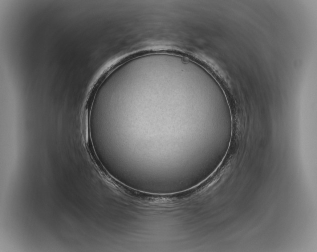 X0000116861175200912221133