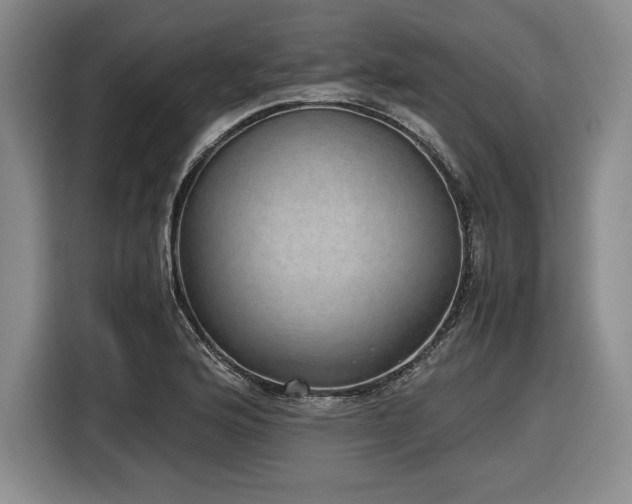 X0000116861176200912221133