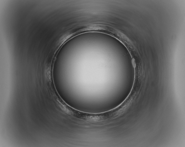 X0000116861177200912221132