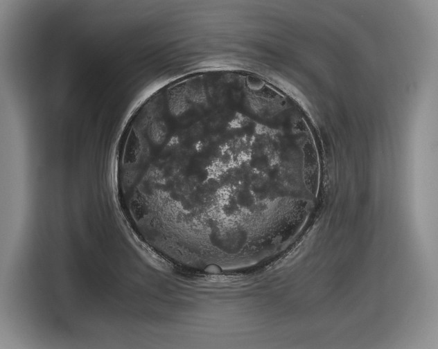 X0000116861179200912221132