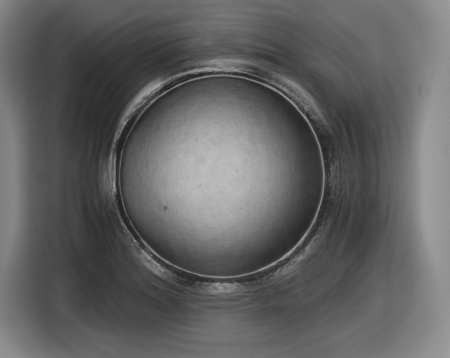X0000116861180200912221132