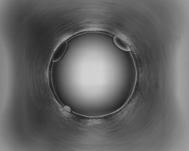 X0000116861181200912221132