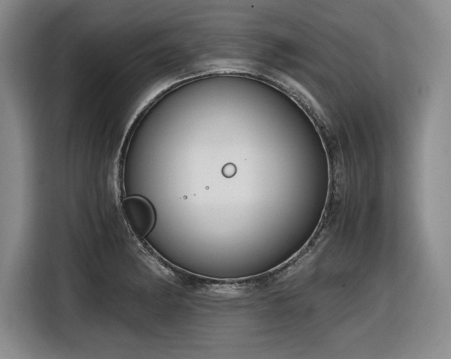 X0000116861182200912221132