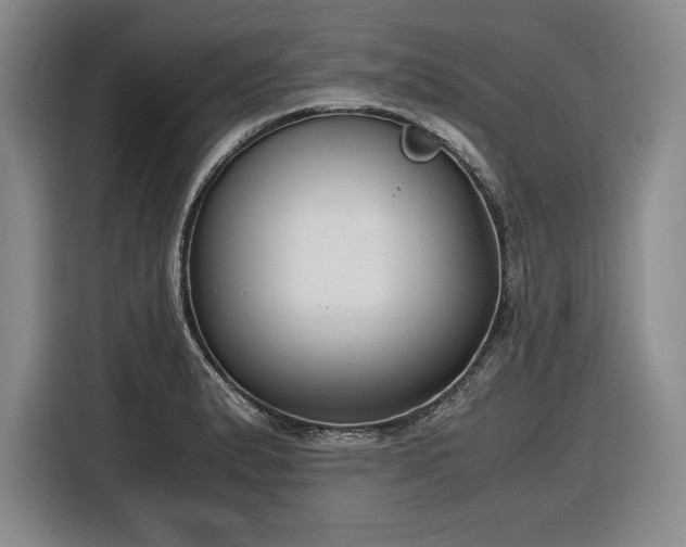 X0000116861183200912221132