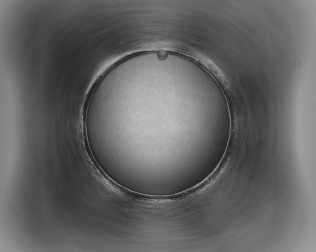 X0000116861184200912221132