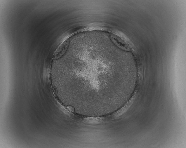 X0000116861185200912221132