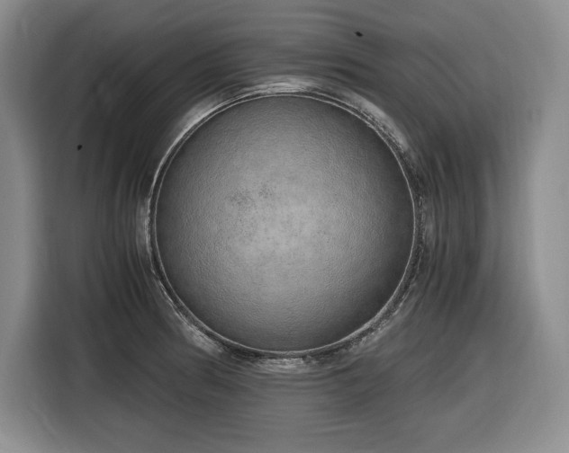 X0000116861186200912221132