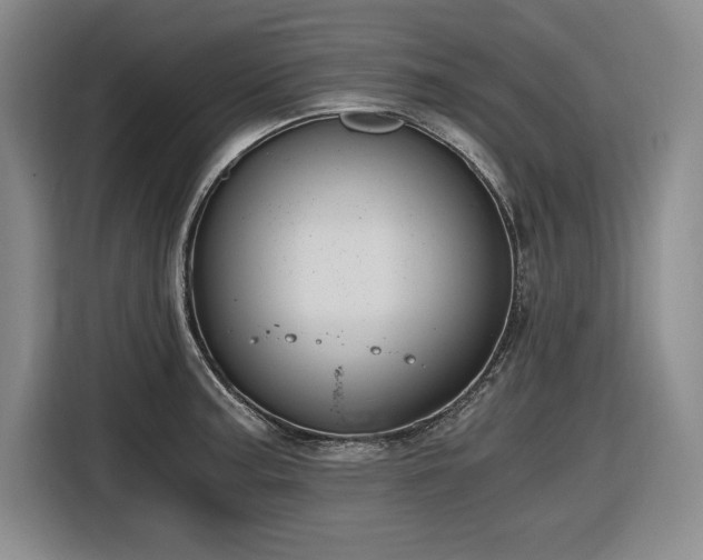X0000116861187200912221132