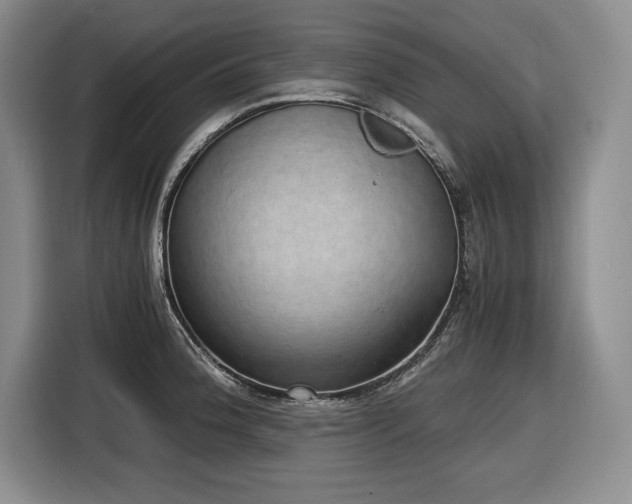X0000116861188200912221132