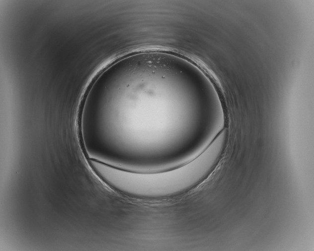 X0000116861189200912221132
