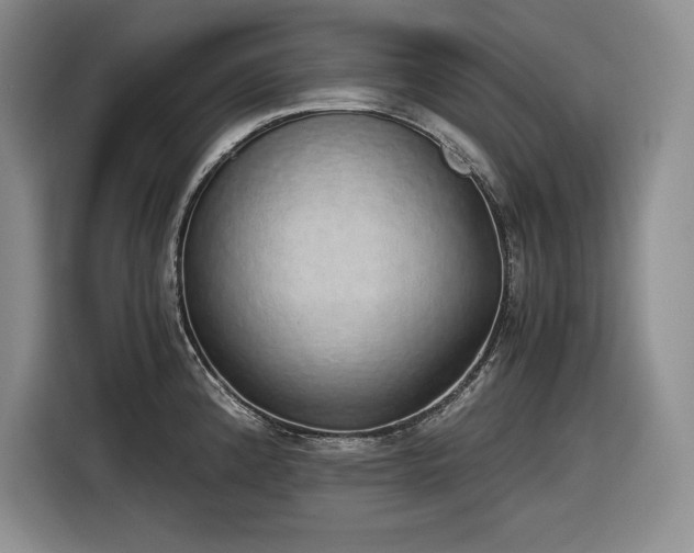 X0000116861192200912221132