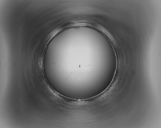 X0000116861193200912221132