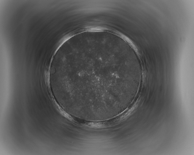 X0000116861194200912221132