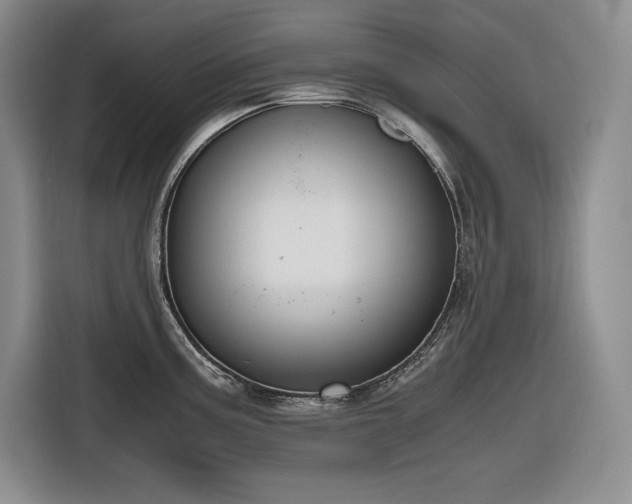 X0000116861195200912221132