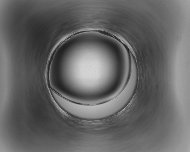 X0000116861197200912221132