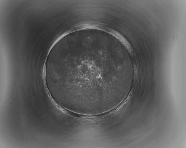 X0000116861198200912221132