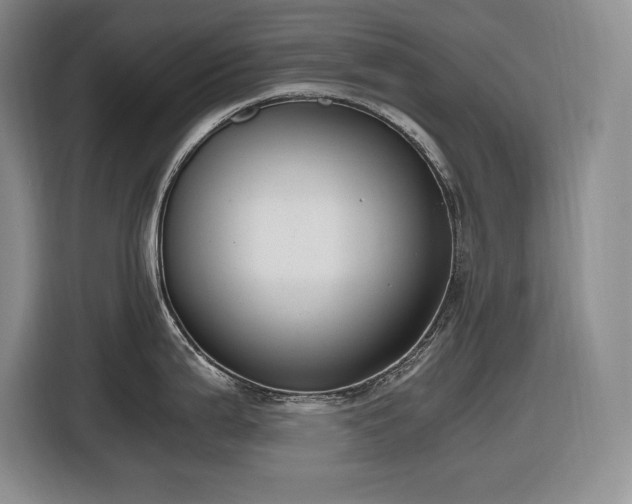 X0000116861199200912221132
