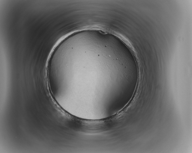 X0000116861200200912221132