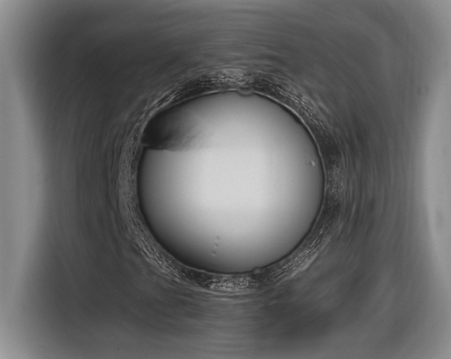 X0000116861201200912221132