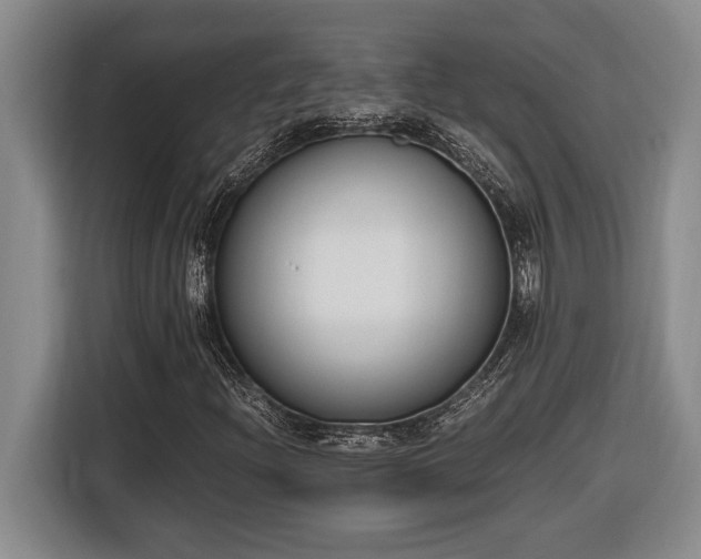 X0000116861204200912221132